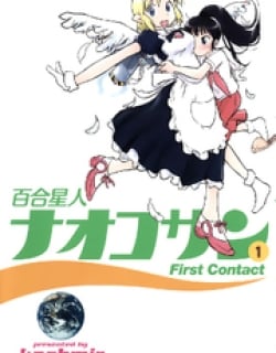 41138
