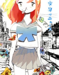 41278