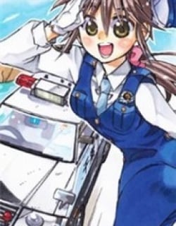 41446