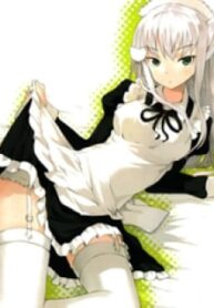 41554