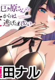 41626