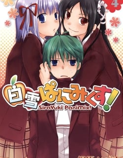 41706