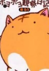 42333