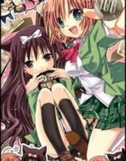 43085