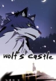 43385