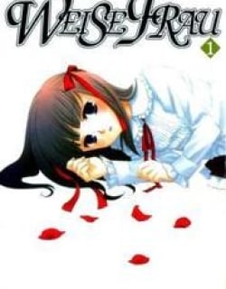 43363