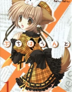 43591
