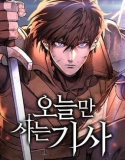 43881