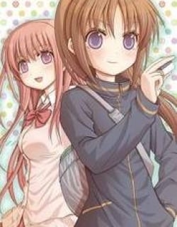 44617
