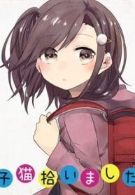 45445