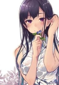 45463