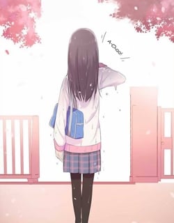 45555