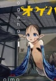 45723