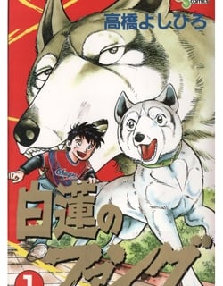 45933