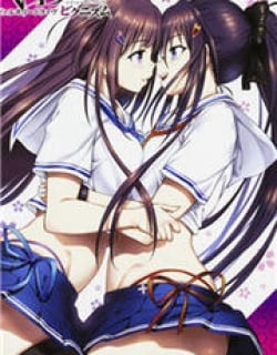 46049
