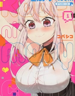 46207