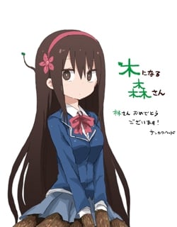 46487