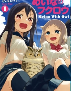 46715