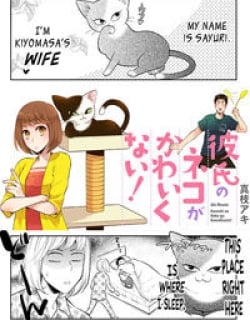 47223
