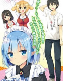 47169