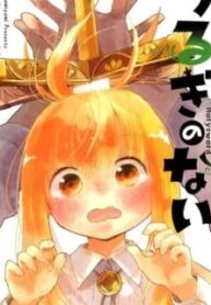 48034