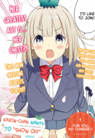48060