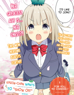 48060
