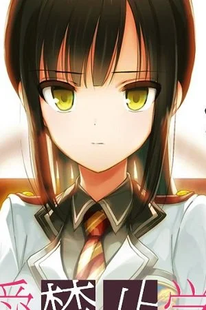 48146