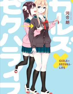48224