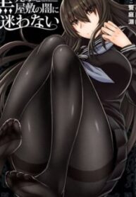 48252