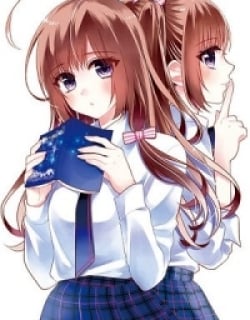 48536