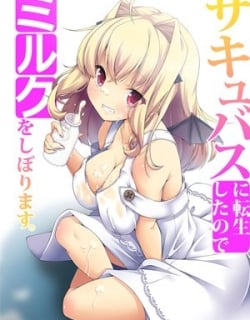 48558