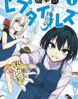 48616