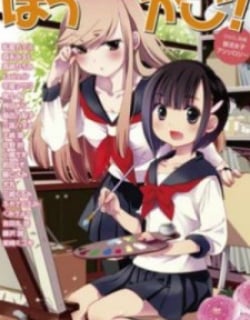 49056