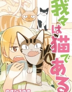 49332