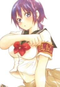 49336