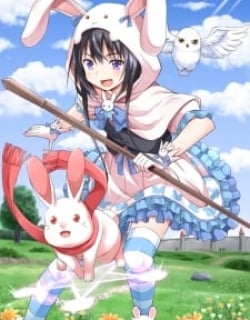 49605