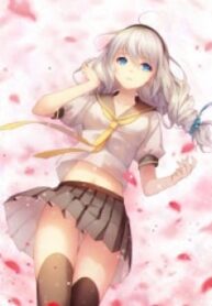 50367