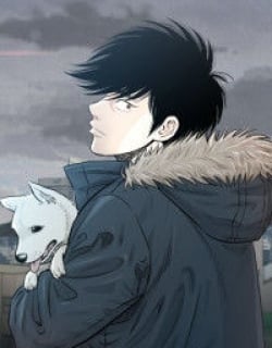 50617