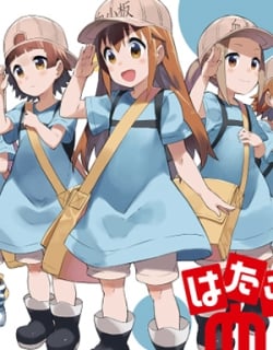 50819