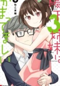 51255