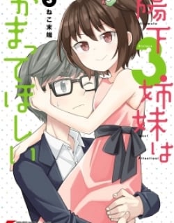 51255