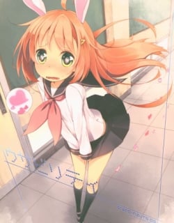 51579