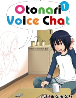 51733