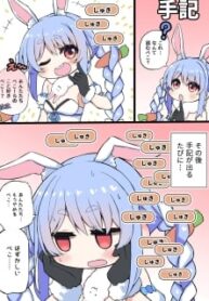 53126