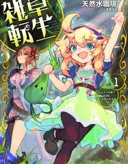54226