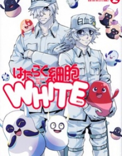 54899