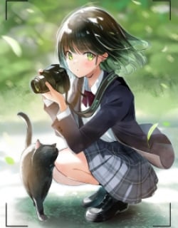 55155