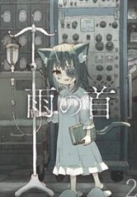 55543