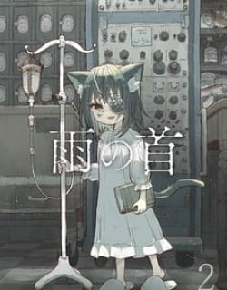 55543